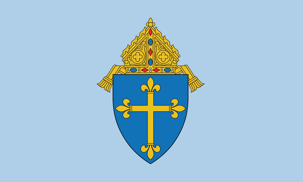 Diocese of Duluth Financial Results